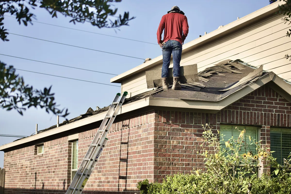 A roofer seen from behind stands on a brick house roof where old asphalt shingles are being torn off, with an aluminum ladder against the wall